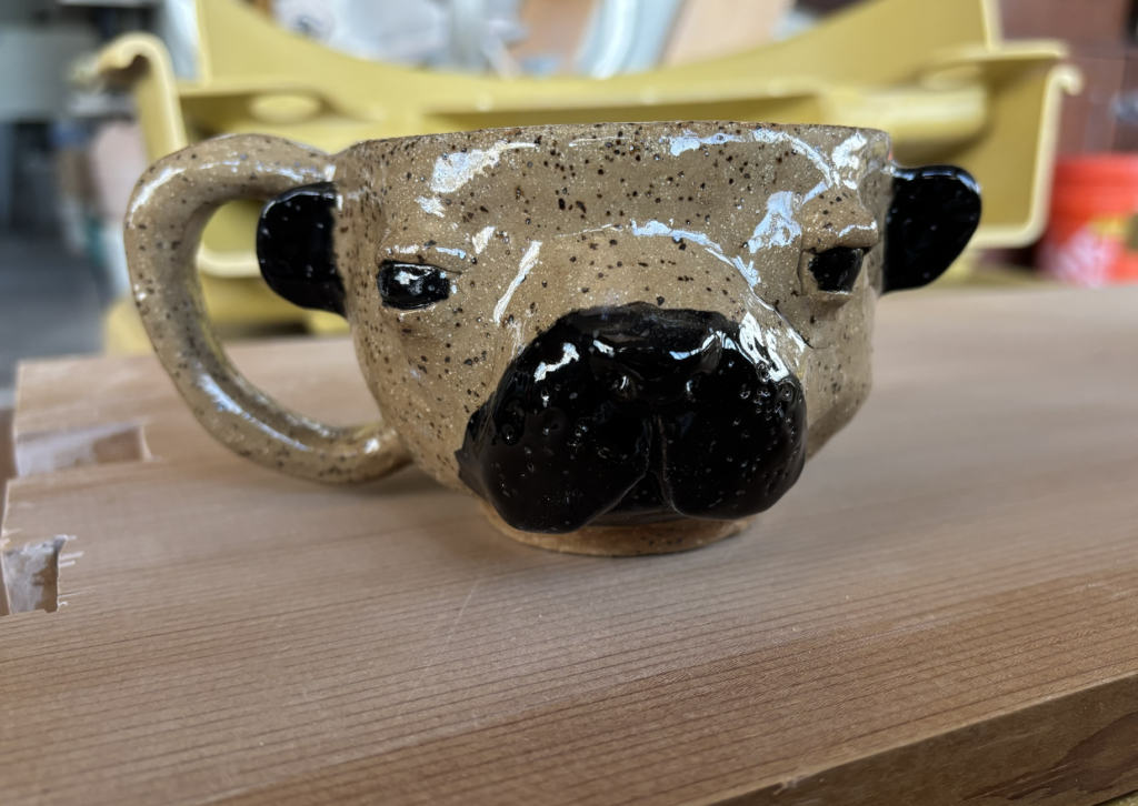 Finished pibble mug